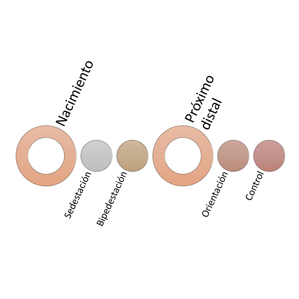 Cursos online - Desarrollo motor - Doménica López Olac Cursos online - Desarrollo motor - Doménica López Olac