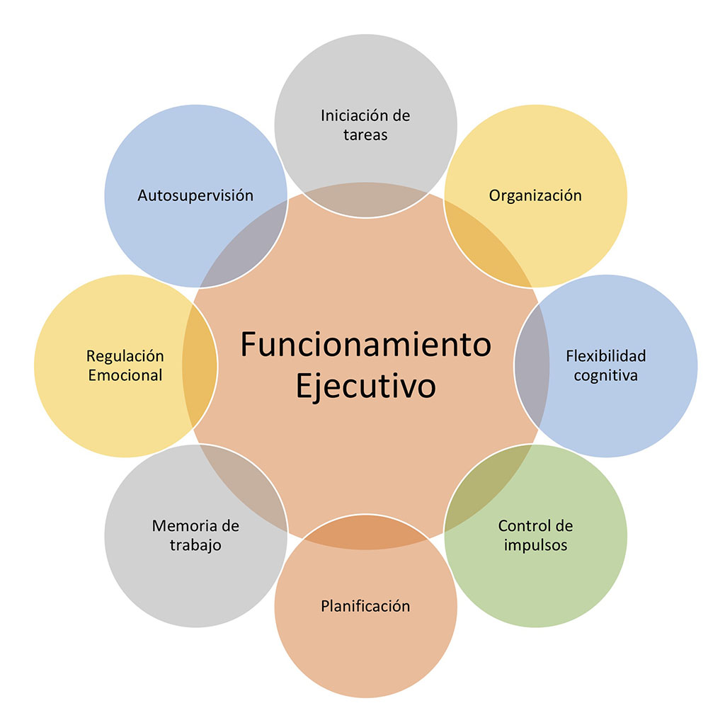 Cursos online - Funcionamiento ejecutivo - Doménica López Olac Cursos online - Funcionamiento ejecutivo - Doménica López Olac